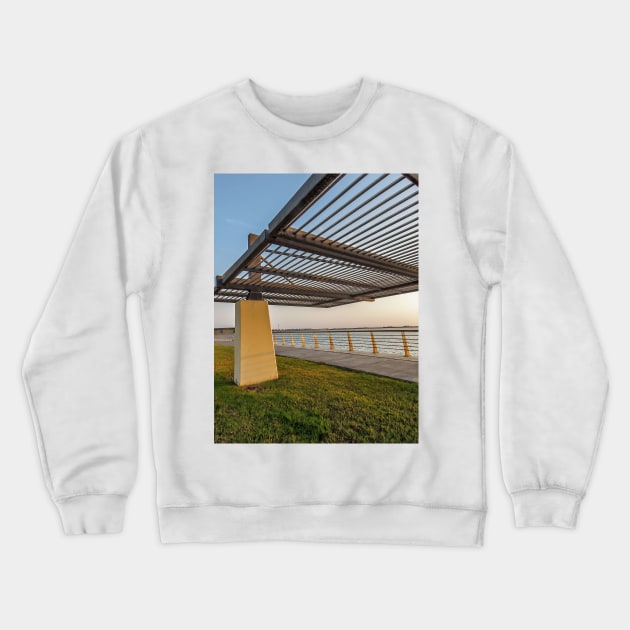 trellis Crewneck Sweatshirt by likbatonboot